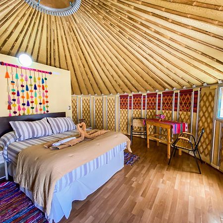 ホテル Altos De Quitor, Glamping サン・ペドロ・デ・アタカマ エクステリア 写真